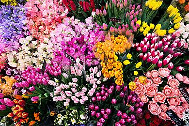 互动式剧情游戏《迷失神祇》DLC“俄耳甫斯”上架Steam平台 6月27日推出